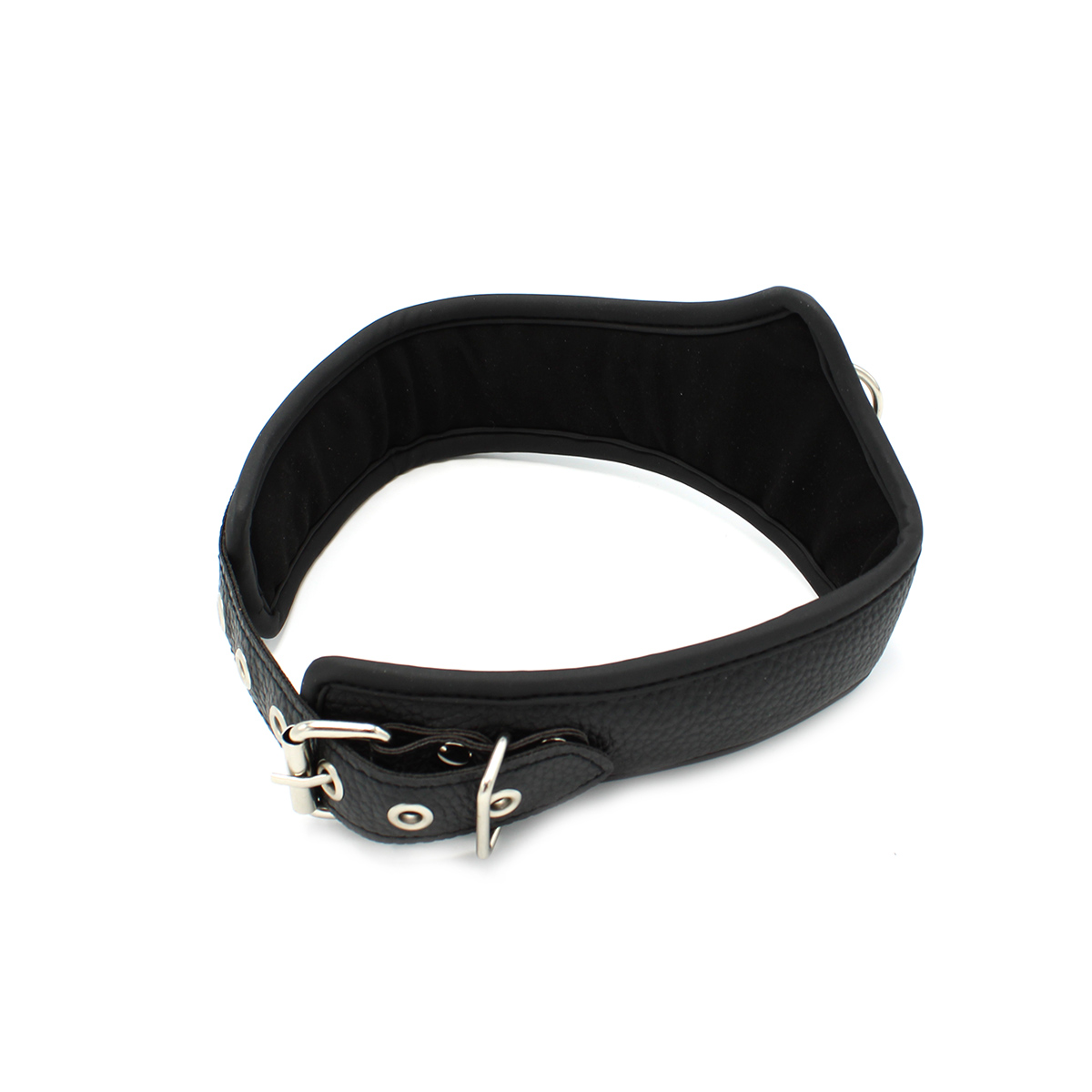 Basic-Collar-with-lease-OPR-3330053-5