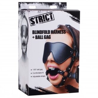 Blindfold Harness and Ball Gag koop je bij Speelgoed voor Volwassenen