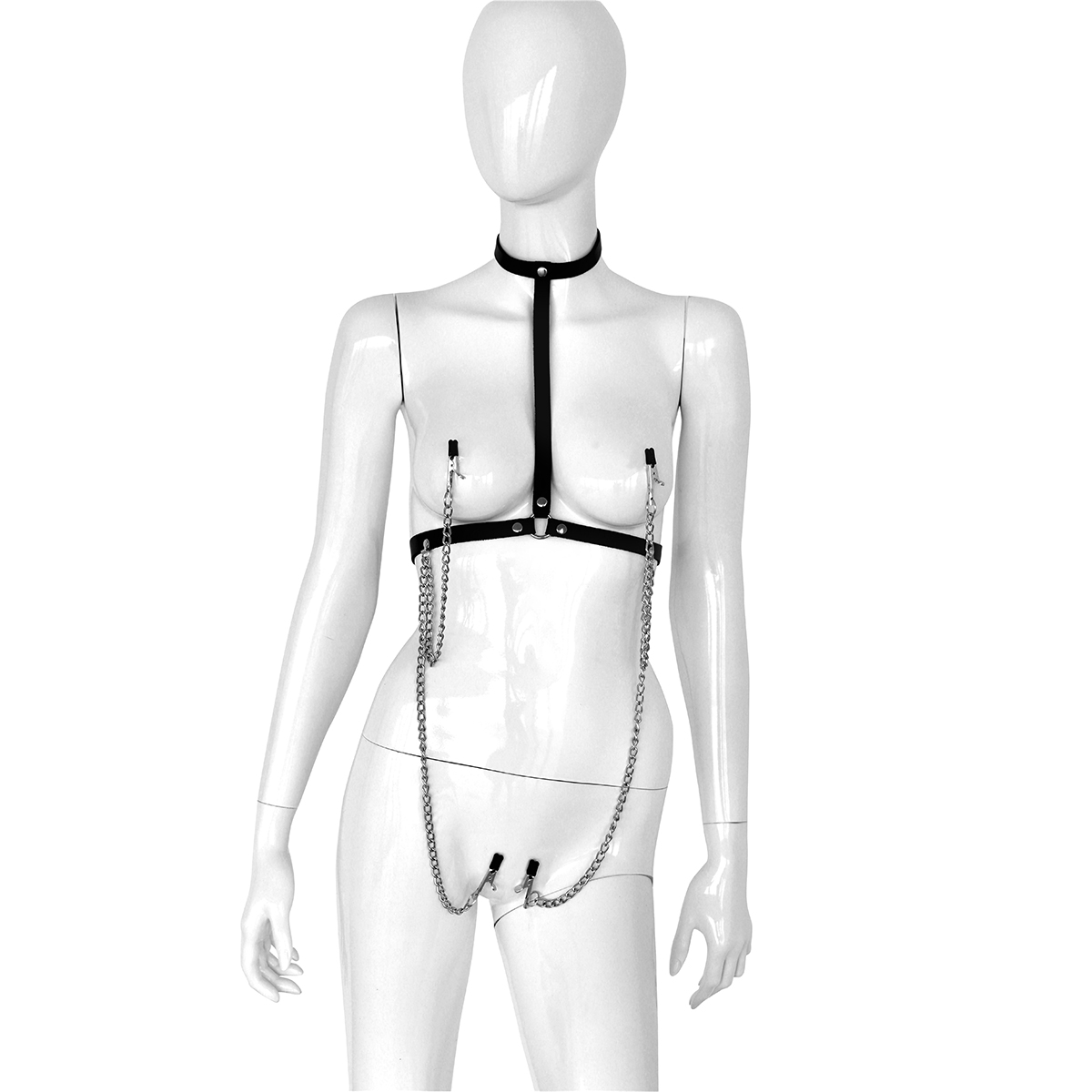 Leather-Collar-Chest-with-4-Clamps-134-KIO-0347-2