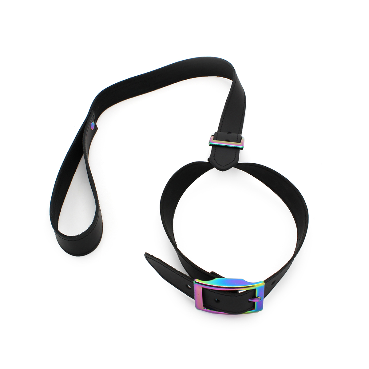 Leather-Collar-with-leash-Rainbow-134-KIO-0301-2