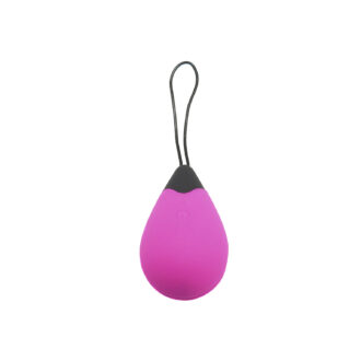 Remote Control Egg G1 - Pink koop je bij Speelgoed voor Volwassenen