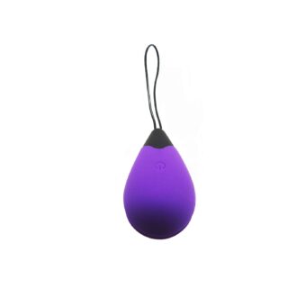 Remote Control Egg G1 - Purple koop je bij Speelgoed voor Volwassenen