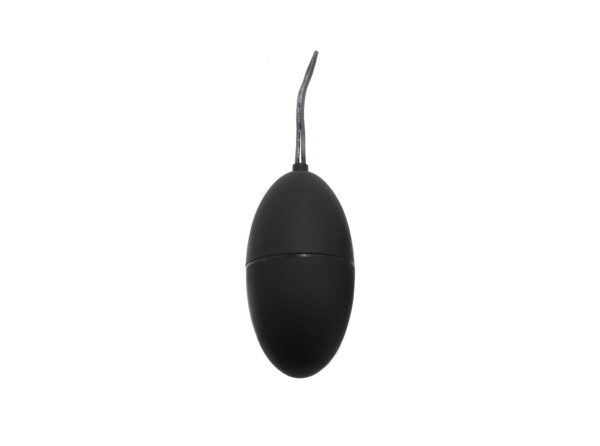 Remote Control Egg G2 - Black koop je bij Speelgoed voor Volwassenen