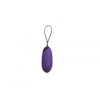 Remote Control Egg G3 - Purple koop je bij Speelgoed voor Volwassenen